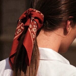 ✨NEW✨ SEZANE GASTON SCARF